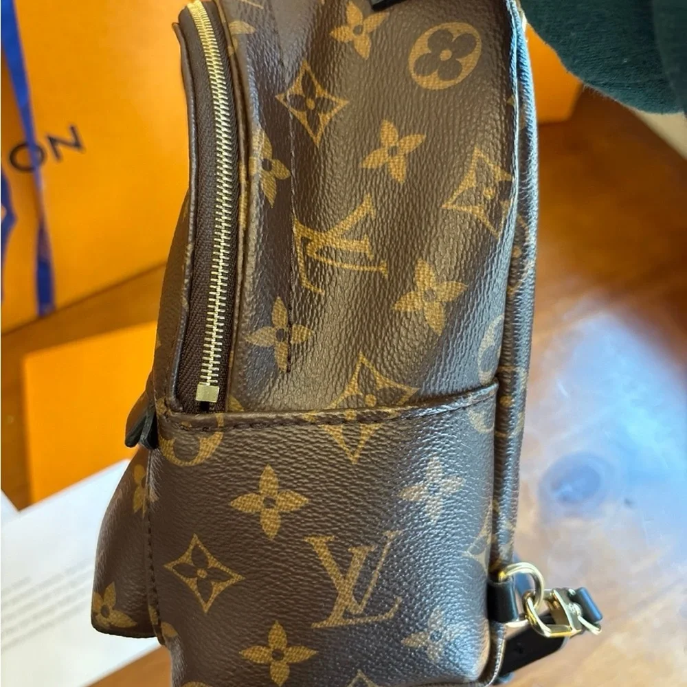Authentic Louis Vuitton Palm Spings Mini - Picture 8 of 12